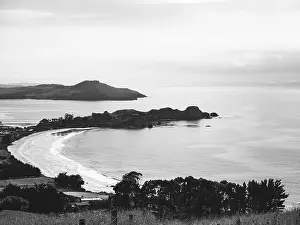 Native Bird Prints: My Partner and I (mostly my partner) have been planning on traveling across the South Island for the pass year