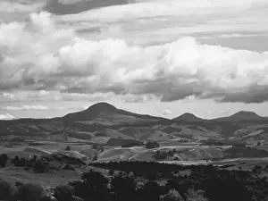 Native Bird Prints: My Partner and I (mostly my partner) have been planning on traveling across the South Island for the pass year