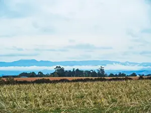Alleys Prints: My Partner and I (mostly my partner) have been planning on traveling across the South Island for the pass year