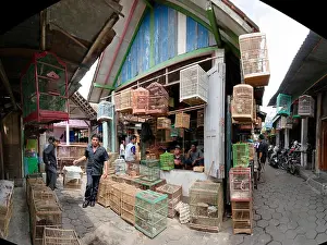 Java Prints: Pasar Burung, NGASEM, Bird Market, Yogyakarta, Java, Indonesia