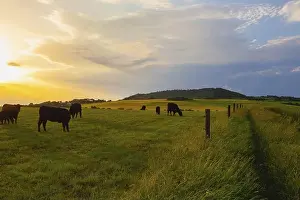 Top Down Prints: On the pasture in Central Bohemian Highlands