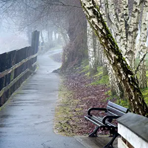 Square Format Prints: A path and a park bench on a foggy morning, Fort Langley, British Columbia, Canada