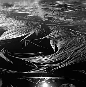 Square Image Prints: Patterns on ice