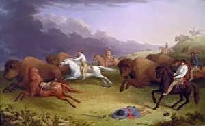 Plains Prints: Paul Kane's Buffalo Hunt depicts the dramatic