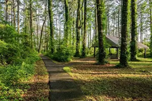 Summer Day Prints: Pavillion along the Marsh Edge Trail, Blackwater NWR MD USA