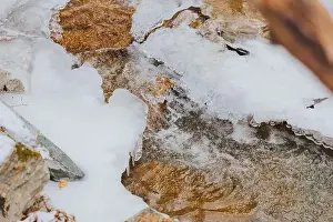 Cold Winter Prints: A peaceful snow-covered woods with a charming stream