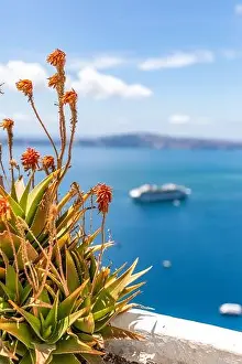 Peaceful view in Santorini, Greece with white architecture and pink flowers, cruise ships, Mediterranean summer mood, vacation and travel background