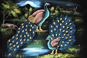 Blackbird Prints: Peacock Artwork In Typical Sri Lankan Style