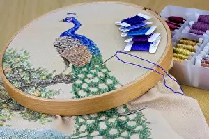 Peacock embroidery held in embroidery frame hoop with embroidery silks in box and needle, traditional hand embroidery needlework and craft at home