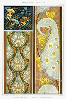 Public Domain Prints: Peacock-Meduse / Illustration from L'animal dans la decoration (1897) by Maurice Pillard Verneuil