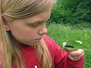 Long Haired Prints: peacock moth, peacock (Inachis io, Nymphalis io), girl watching caterpillar on a leaf