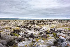 Peculiar Iceland landscape with lava field covered with brown moss Eldhraun from volcano eruption and cloudy sky