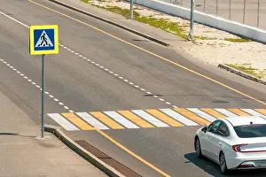 Zebra Prints: Pedestrian crossing with a road sign through the city road