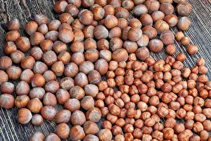 Hazel Prints: peeled hazelnut nuts close-up on the table, peeled from the hard shell of useful hazelnuts