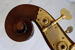 Stringed Instrument Prints: Peg box with tuning pegs of an old double bass