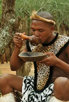 Kwazulu Natal Prints: People, adult Zulu man drinking traditional African beer from gourd
