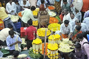 Deepawali Prints: people buying flowers for diwali festival in dadar flower market at mumbai maharashtra India