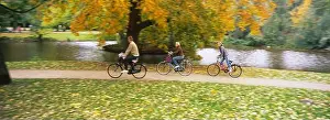 Mode Of Transport Prints: People riding bicycles in a park, Vondelpark, Amsterdam, Netherlands