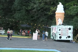 Waffle Prints: People waiting in line in front of an ice cream truck in the U.S.A
