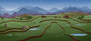 Rice Field Prints: People work on rice fields in rain