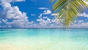 Images Dated 21st December 2015: Perfect beach banner. Palm leaves, blue sea, blue sky. Inspirational tropical scenery calmness