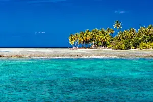 Perfect tropical beach in Maldives with few palm trees and blue lagoon