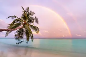 Perfect tropical landscape, sunset beach with palm tree and swing hanging under colorful rainbow. Romantic beach landscape