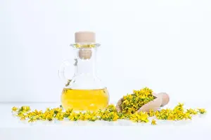 Homeopathy Prints: Perforate St John's-wort is very rare and healthy plant