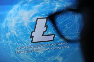 Reads Prints: A person looks at the Litecoin cryptocurrency website