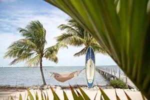 Differential Focus Prints: Person relaxing in hammock between two palm trees, surf board resting against palm tree