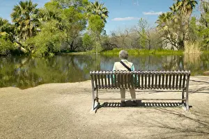 Tucson Prints: Person sitting on a bench admiring the spring nature in Agua Canyon Tucson AZ