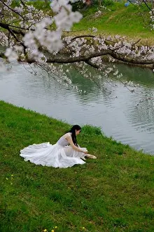 Sakura Prints: Person in white dress sitting by a calm river under cherry blossoms in spring