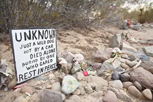 Leash Prints: Pet Cemetery near the Sleepy Hollow trailer park on the Quechan Indian reservation Andrade California