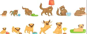 Changing Prints: Pets growth stages. Little cat and dog characters