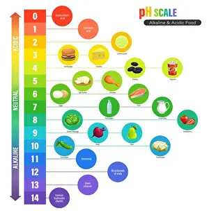 PH scale chart, alkaline and acidic nutrition measure meter