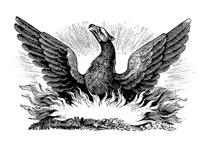 Rebirth Prints: Phoenix. Wood engraving of the mythical bird, 19th century