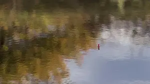 Bait Prints: A Photo of an Anglers Float in a Fishing Pond amongst the Ripples and Reflections