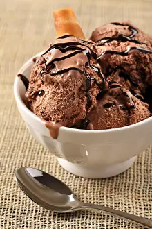 Scoop Prints: Photo of a bowl of melting chocolate ice cream with chocolate drizzle