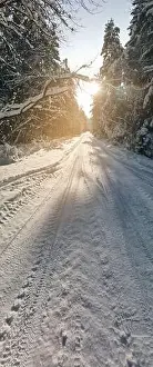 photo from a flying drone, a small planet and a winter landscape, pines and spruces are covered with snow