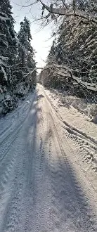 Coniferous Tree Prints: photo from a flying drone, a small planet and a winter landscape