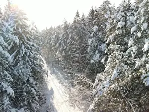 photo from a flying drone, a small planet and a winter landscape, pines and spruces are covered with snow