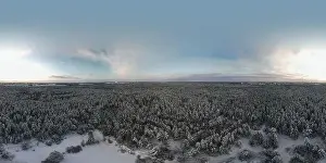 photo from a flying drone, a small planet and a winter landscape, pines and spruces are covered with snow