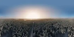 Coniferous Tree Prints: photo from a flying drone, a small planet and a winter landscape