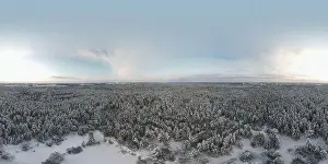 photo from a flying drone, a small planet and a winter landscape, pines and spruces are covered with snow