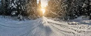 photo from a flying drone, a small planet and a winter landscape, pines and spruces are covered with snow