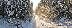photo from a flying drone, a small planet and a winter landscape, pines and spruces are covered with snow