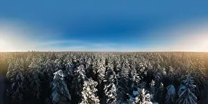 Coniferous Tree Prints: photo from a flying drone, a small planet and a winter landscape