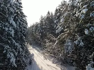 photo from a flying drone, a small planet and a winter landscape, pines and spruces are covered with snow