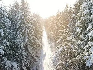 photo from a flying drone, a small planet and a winter landscape, pines and spruces are covered with snow