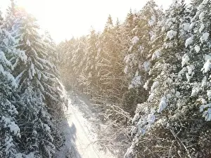 photo from a flying drone, a small planet and a winter landscape, pines and spruces are covered with snow